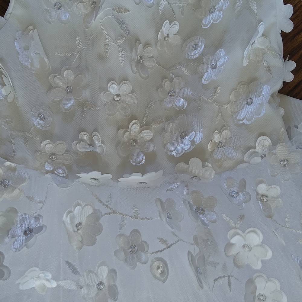 Badgley Mischka Cream and White Floral Appliqué Girls' Formal Dress